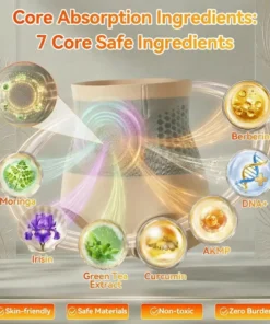 𝐂𝐥𝐞𝐚𝐫𝐞𝐧𝐚® 6-In-1 Micro-Particle Sculpting & Fat-Burn Shorts — With Berberine · Moringa · EGCG × NAD+